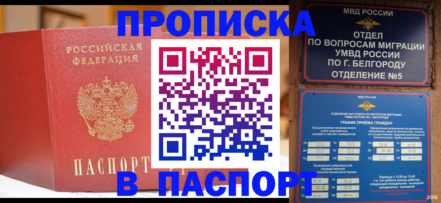 временная регистрация в квартире в Большом Камне